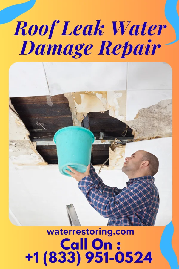 Roof Leak Water Damage Repair in Firth, ID